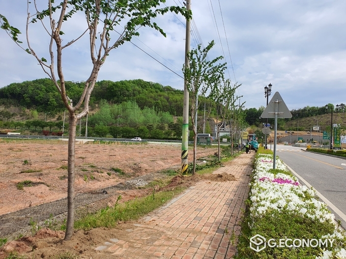 임실 명품 가로수길(사진=임실군청)