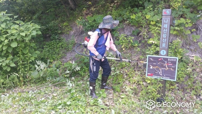 임실군, 성수산 등 등산로 정비하는 모습(사진=임실군청)