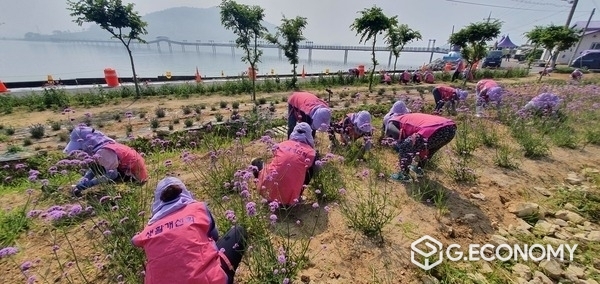 사진=신안군 농업기술센터