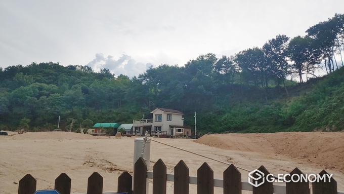 경북 김천의 매도자 이모 씨가 운영하던 농원으로 영동군과 조경수 계약을 마치자마자 바로 매각했다./사진=이승주 기자