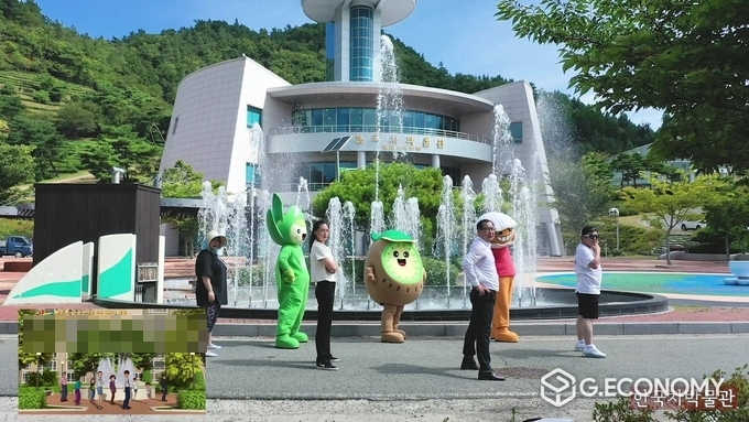 사진=보성군에 위치한 한국차박물관 홍보 컨텐츠