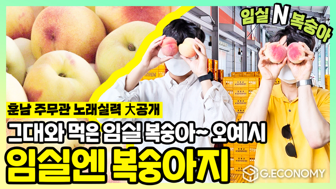 임실N복숭아, SNS 타고 맛도 홍보도 ‘엄지척’(사진=임실군청)