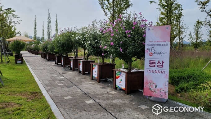 전북도, 2021년 나라꽃 무궁화 우수 분화 품평회 동상(사진=전북도청)