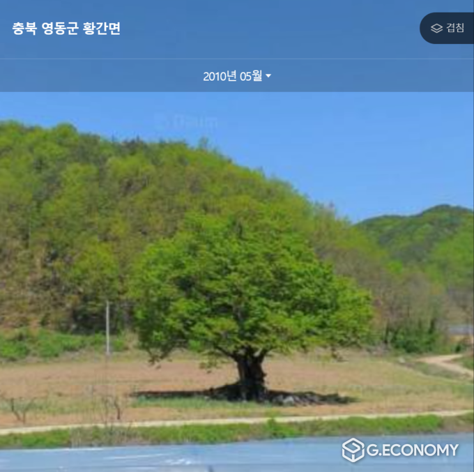 충북 영동군 힐링관광단지 조성사업과정에서 영동군이 4억 원을 들여 구입한 "천년느티"가 우리동네에 있었던 나무와 똑같다고 제보하는 사람들이 늘어나고 있다. 사진은 지난 2010년 충북 영동군 황간면에 있던 느티나무 모습. (사진 = 네이버 지도 갈무리)