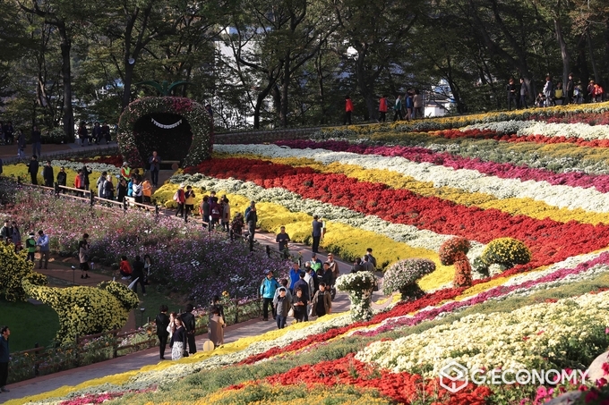 사진=화순 대표축제 '화순 국화향연'