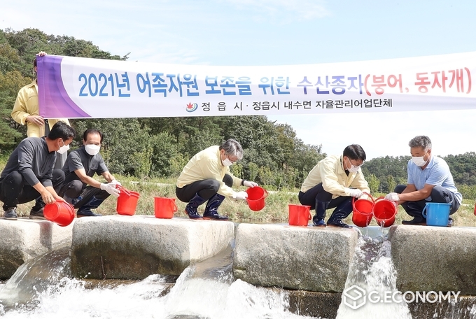 정읍시, 치어 방류로 토종어류 자원 확충(사진=정읍시청)