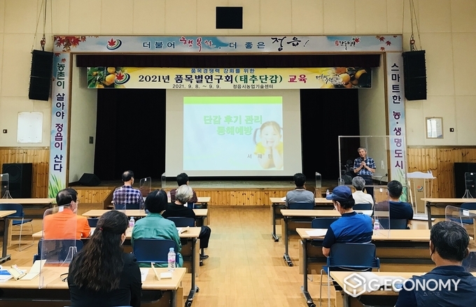 정읍시, 고품질 단감 생산 재배 기술 지원 나서(사진=정읍시청)