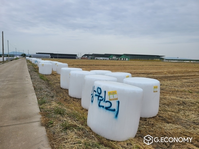 사진=김제시 농업기술센터