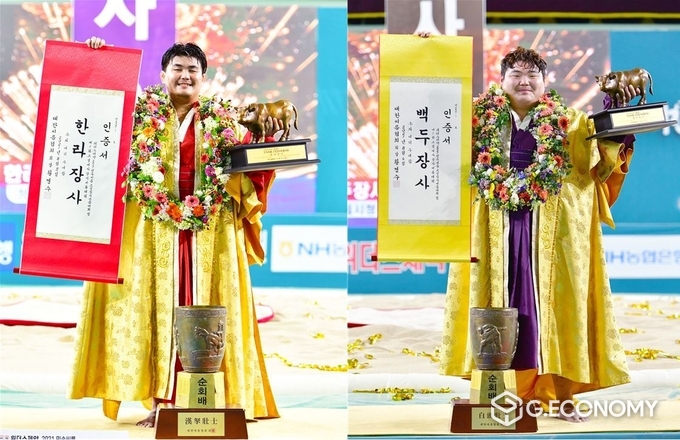 정읍시청 단풍미인씨름단(사진=정읍시청)