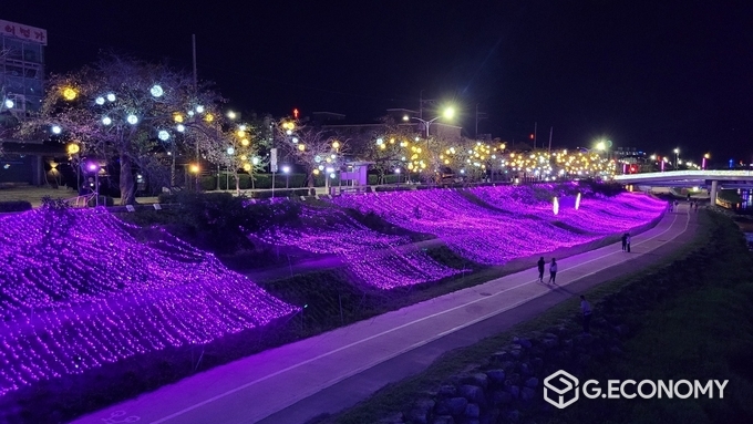 가을빛 물든 정읍천, 희망愛 빛나다(사진=정읍시청)