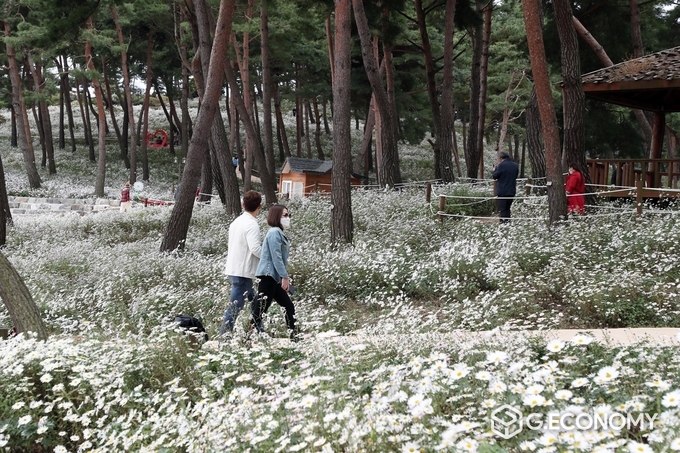 정읍시, 코로나19 확산 대비 ‘구절초 꽃축제’ 취소(사진=정읍시청)