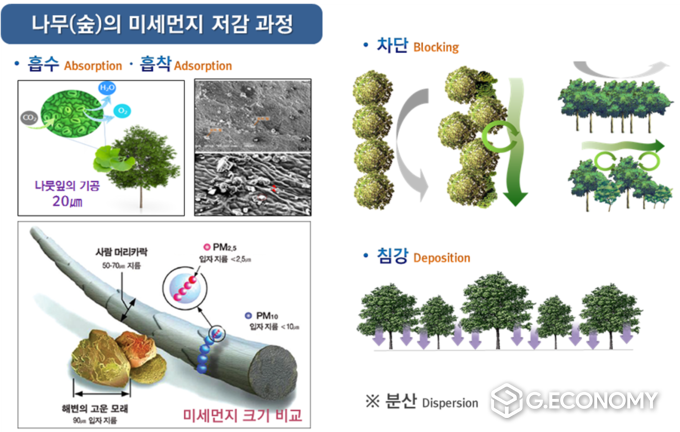 숲과 나무의 기능(자료=전북도청)
