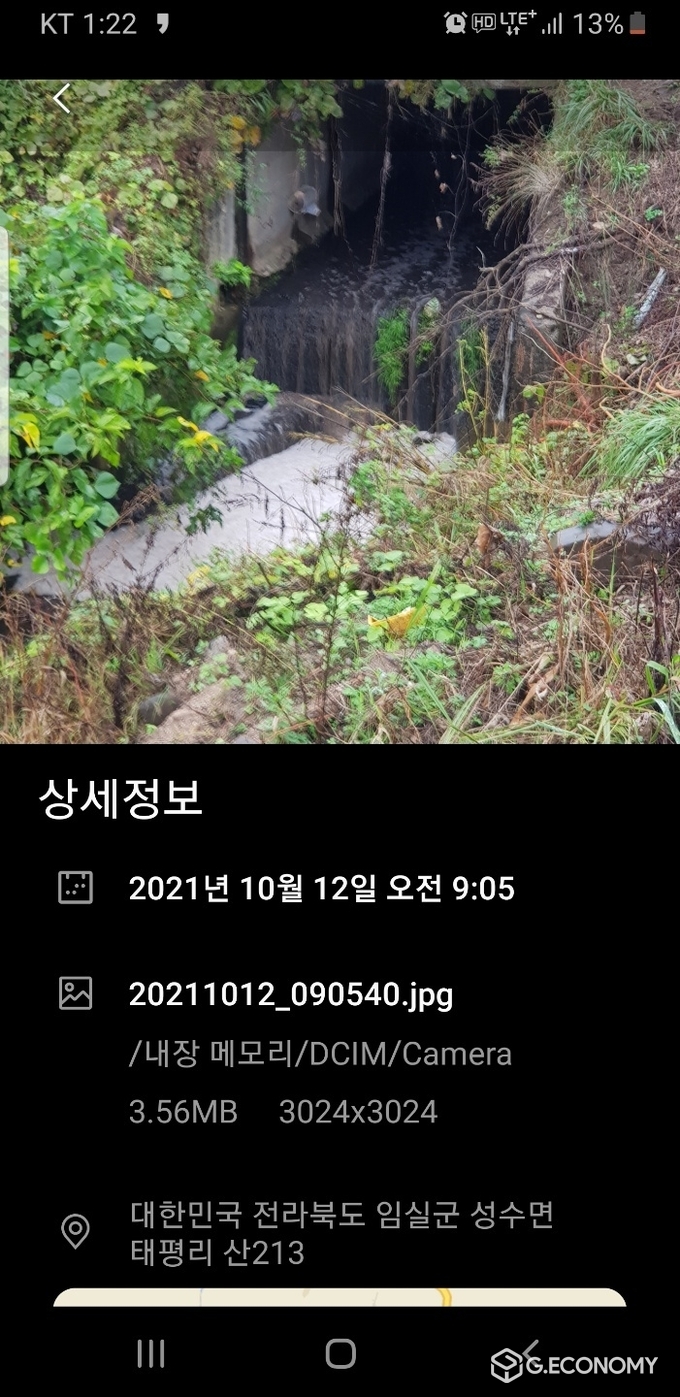 제보 사진=돼지농장 폐수가 하천에 내려오며 거품이 일고있다. 제보자가 찍은 시간과 위치를 말해 준다.