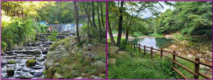 장려상을 받은 장수군 천천면 비룡리 사방댐 (사진=전북도청)