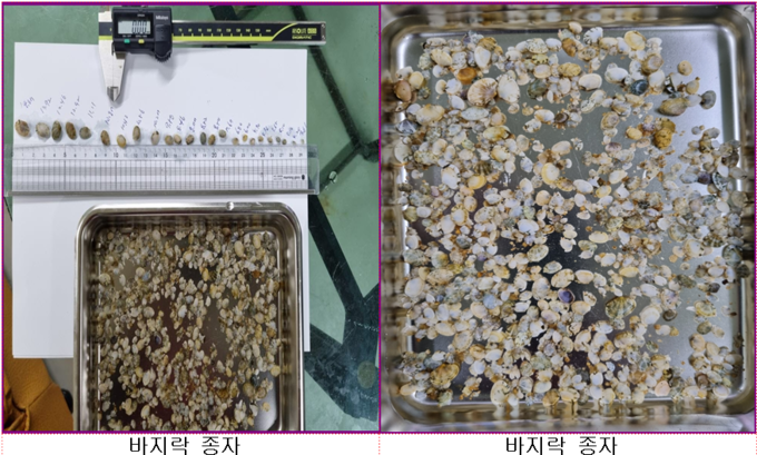 관련 사진=전북도청