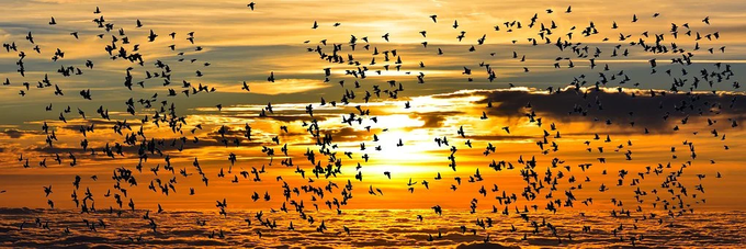 사진=pixabay