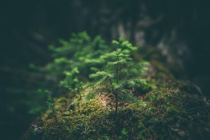 사진= Matthew Smith @ unsplash