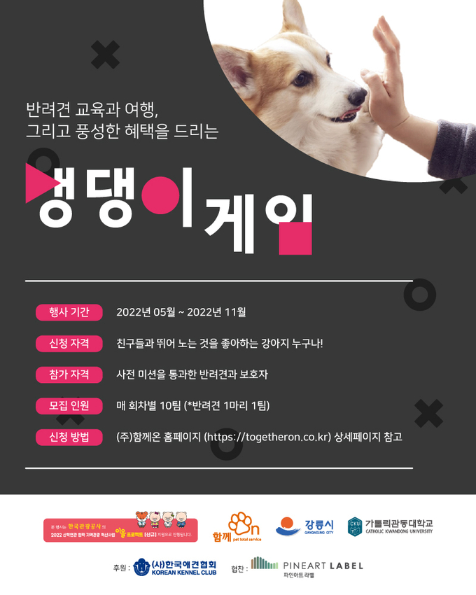 댕댕이게임 포스터
