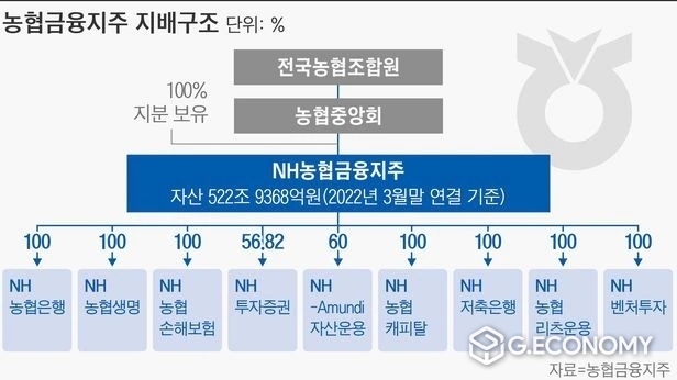 농협금융지주 지배현황(사진=조선비즈)