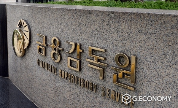 금융감독원(사진=뉴시스)