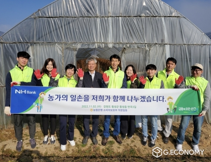 2일 NH농협은행 정종욱 소비자보호부장(왼쪽에서 5번째)과 직원들이 강원도 횡성군 소재 고추재배 농가를 찾아 일손 돕기를 실시하고 기념사진을 촬영했다(사진=NH농협은행)