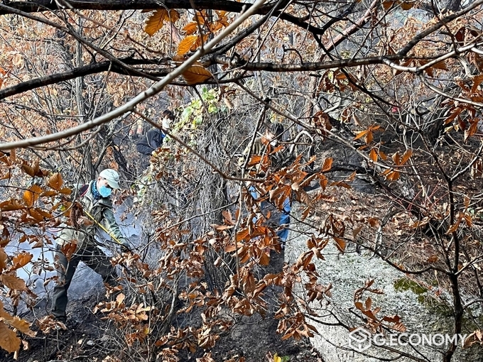 5일 북한산 족두리봉 인근에서 관계자들이 잔불 제거 작업을 벌이고 있다(사진=서울시 은평구)
