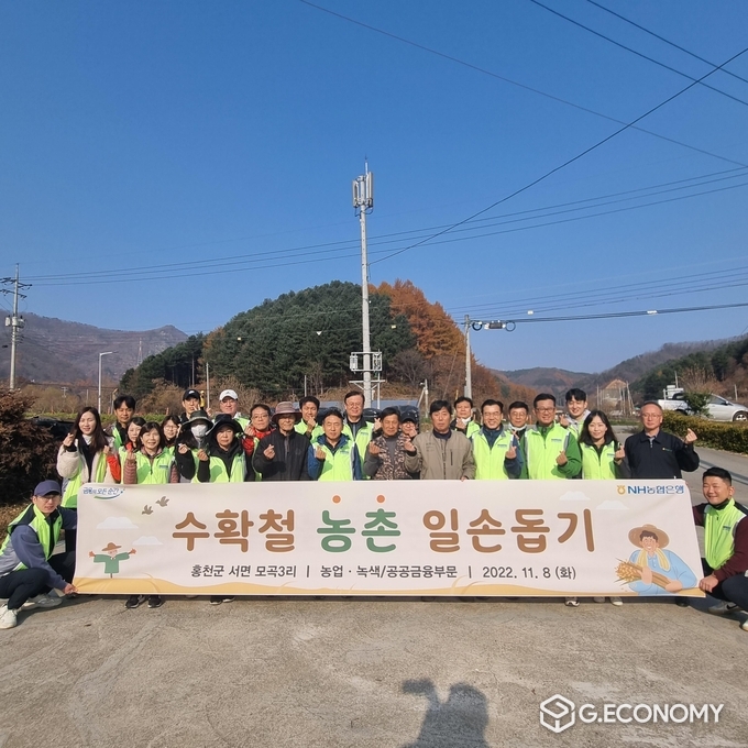 8일 강원도 홍천군 모곡리 자매결연마을에서 NH농협은행 김춘안 부행장과 농업·녹색 및 공공금융부문 직원들이 수확철 일손돕기 실시 전 기념촬영을 하고 있다(사진=NH농협은행)