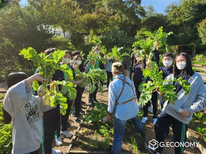 ‘모두와나눔텃밭’ 수확현장 (사진=서울시 은평구)