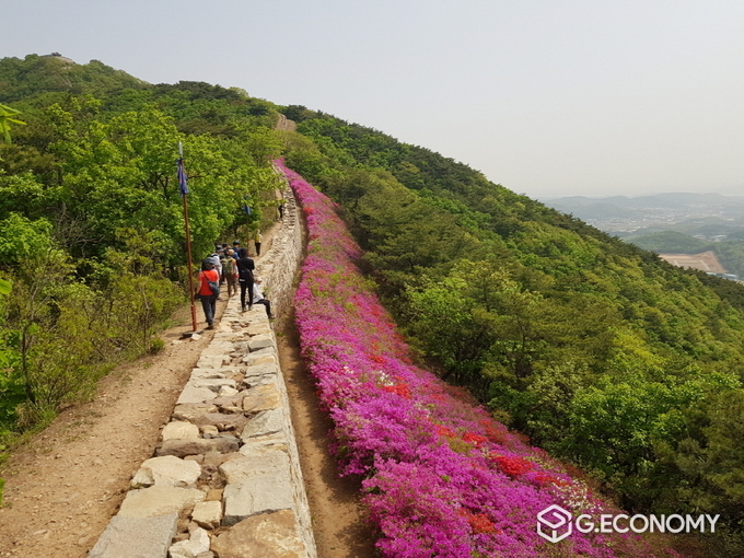 문수산 숲길