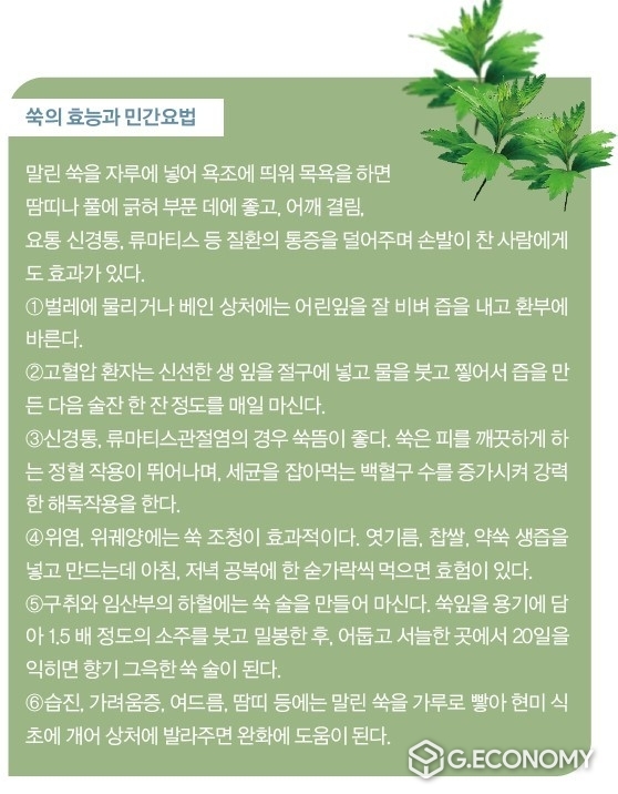 출처, 골프가이드 4월호