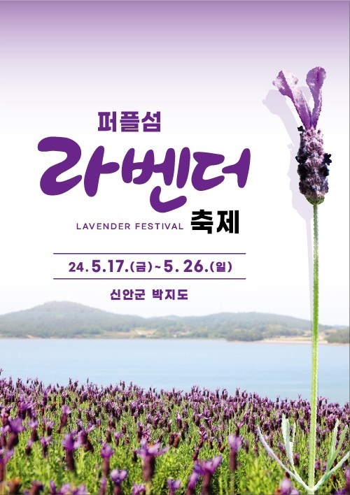 퍼플섬 2천만 송이 라벤더 꽃 축제 개최 