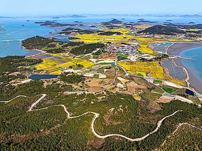 팔금도