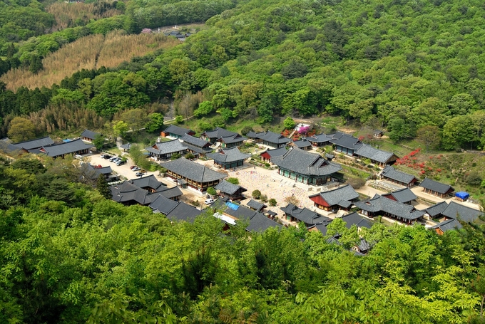 문화유산_사적 송광사