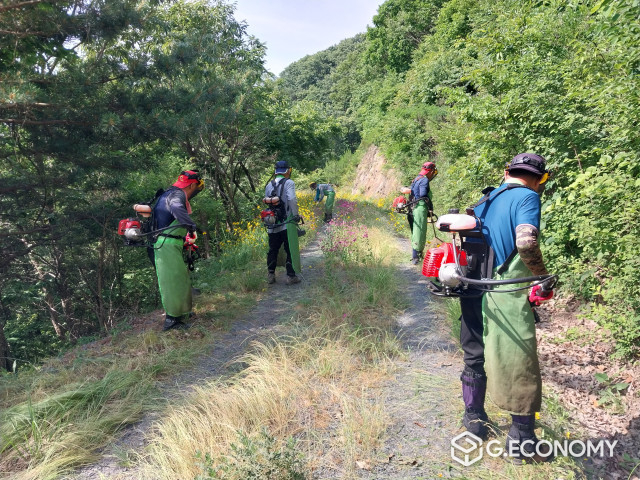 충남도 산림자원연구소 임도 정비 모습