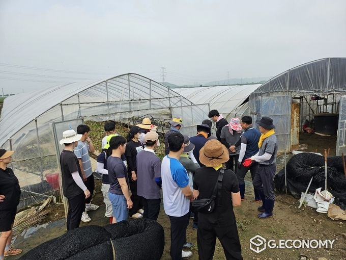 충남도 농림축산국, 수해 농가 긴급 일손돕기 나서
