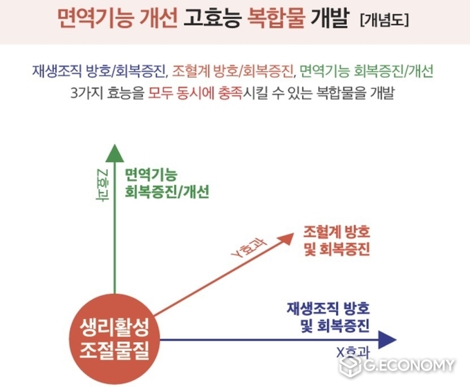 헤모힘 면혁기능 개선 고효능 복합물 개발 개념도. /자료=에터미