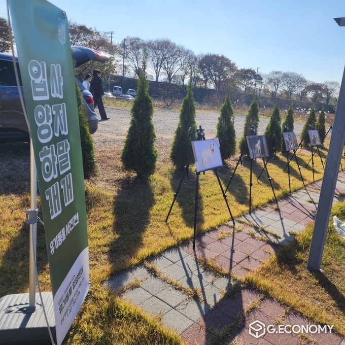 유기견의 실제 크기를 본뜬 등신대 전시로 보호견과의 공감대 형성. 담양군 제공