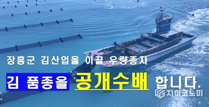 장흥군 김 양식 산업을 위한 우량 품종 발굴 프로젝트 시작 이미지. 장흥군 제공