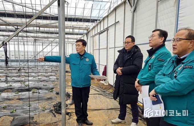 명창환 전남도 행정부지사가 현장을 찾아 농가를 격려했다. 전라남도 제공