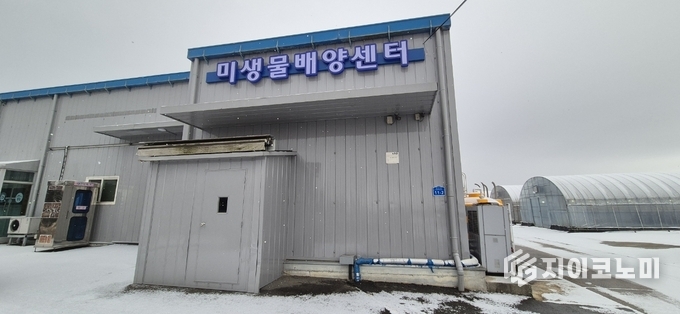 영암군 미생물 배양센터. 영암군 제공