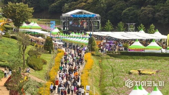  2024 화순 고인돌 가을꽃 축제장 모습. 화순군 제공
