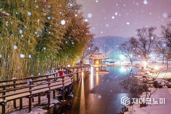 담양 죽녹원. 담양군 제공