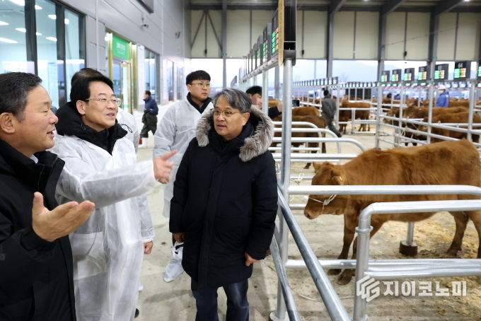 강진원 군수 우시장 방문. 강진군 제공
