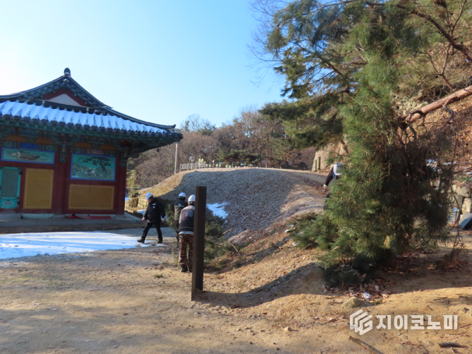 문화유산 주변 습설 피해 입은 수목 경관정비(충남동남 문화유산돌봄센터: 제공)