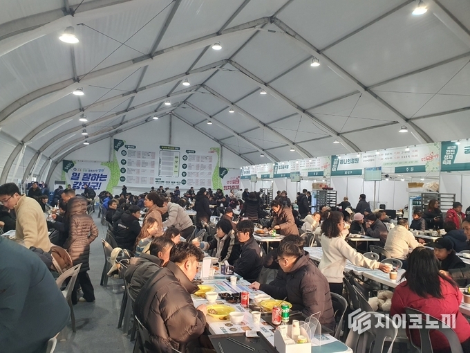 전통과 현대의 맛이 어우러진 강진 청자축제의 먹거리와 체험 현장. G이코노미