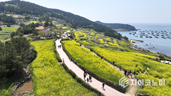  청산도 슬로길 전경. 완도군 제공