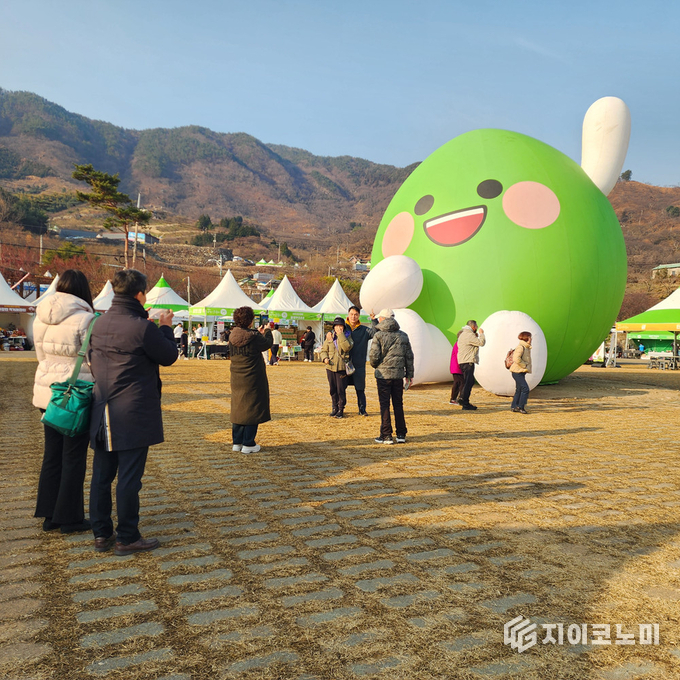 제24회 광양매화축제의 대형 매돌이 포토존에서 방문객들이 인증샷을 남기며 인기를 끌고 있다. 광양시 제공