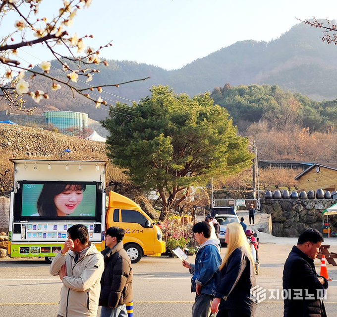 제24회 광양매화축제 기간 동안 이동형 관광안내소가 감성적인 마케팅으로 방문객들의 관심을 끌고 있다. 광양시 제공
