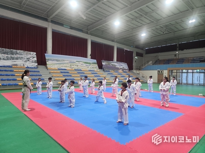 태권도 강좌 수업