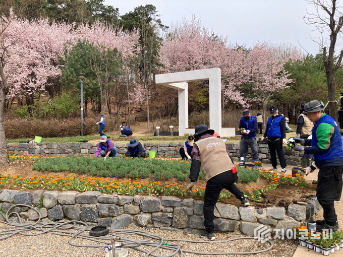  청계중앙공원에서 시민정원사와 자원봉사자들이 꽃 심기 활동을 하고 있다. 화성시청 제공.